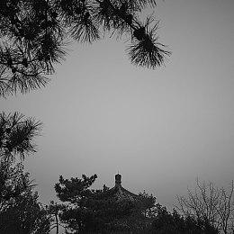 经典乙女游戏《失忆症》今日发售 限量版特典实物公开